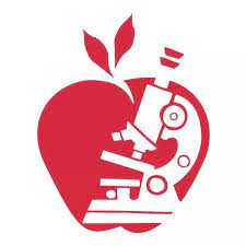 Diabetes Wellness